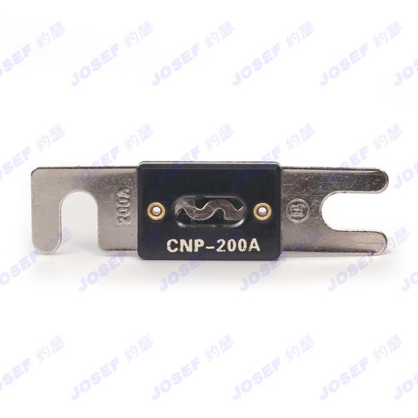 CNP